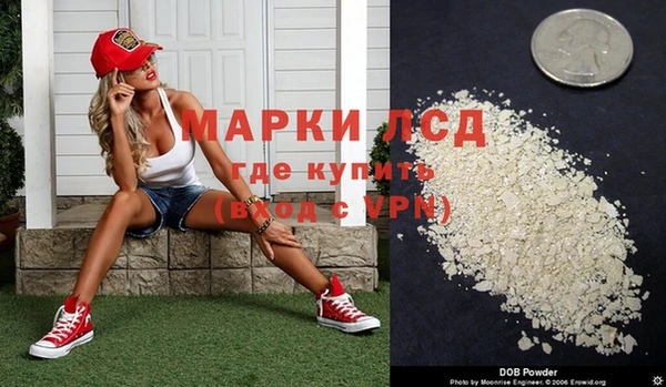 мяу мяу мука Аркадак