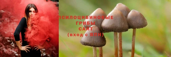 мескалин Новокубанск