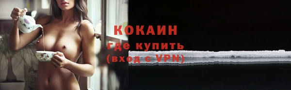 мяу мяу мука Аркадак